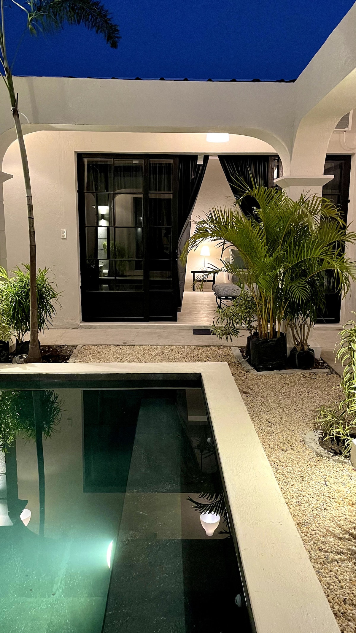 Casa Dos garden view with palms