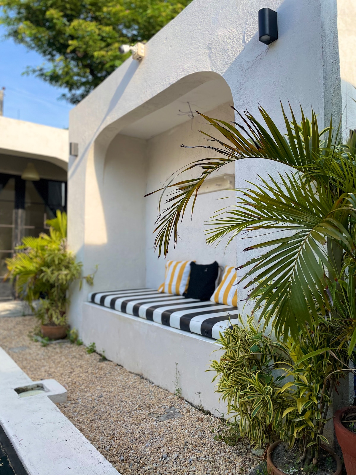 Casa Dos outdoor lounge with tropical palms