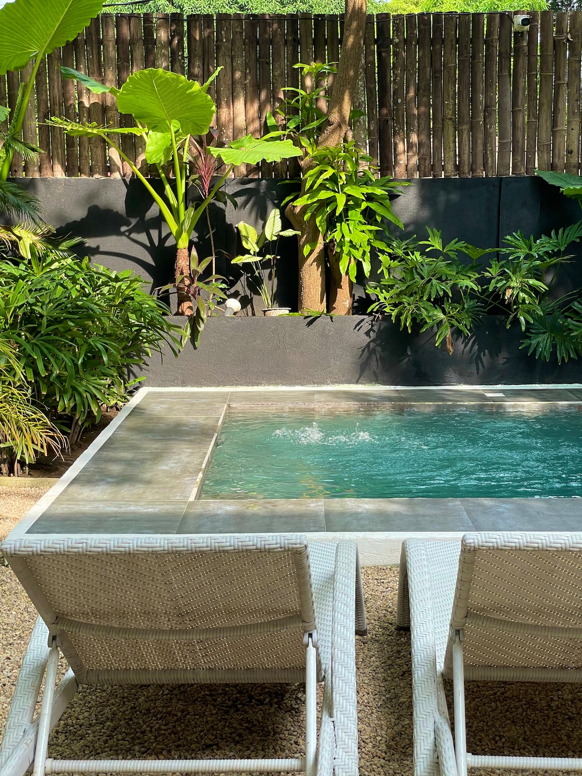 Casa Uno pool garden in daylight